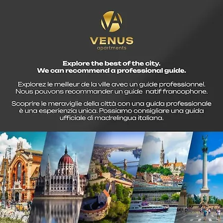 Venus - The Actor's Den Apartment