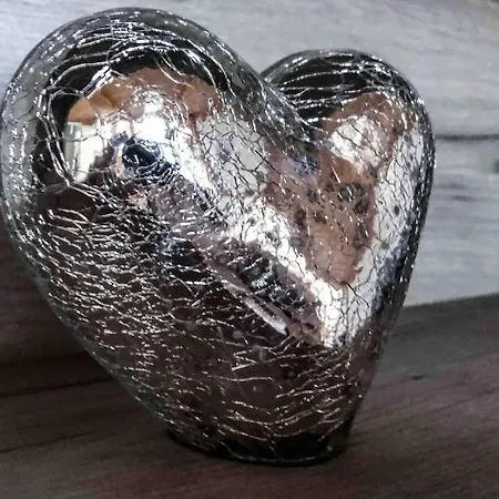 Heart 10