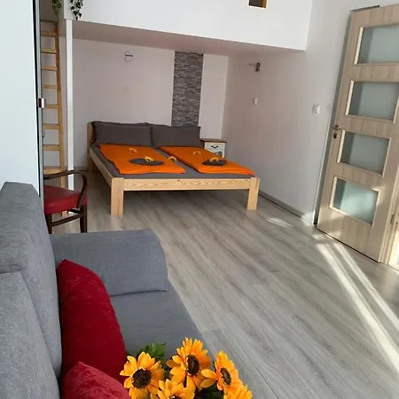 Sunflowers ブダペスト