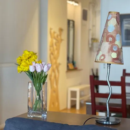 Apartment Penthouse W Private Rooftop And Free Parking *