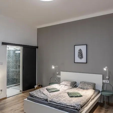 Design Downtown Apartamento Budapest