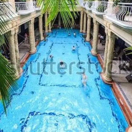 Always A Huge Sale! Apartment