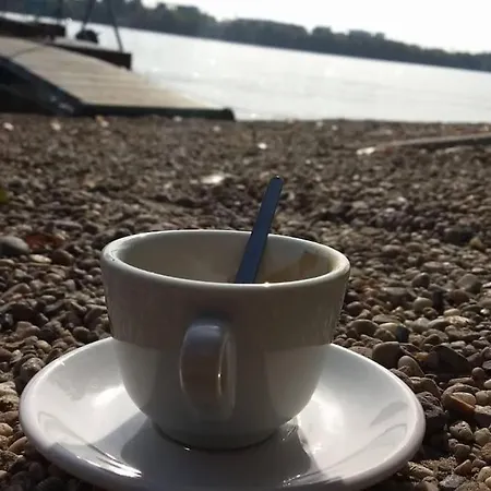 Next To The River