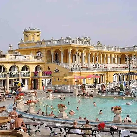 Urban Oasis: Spacious Modern Retreat With Netflix And New York Cafe Proximity * Budapest