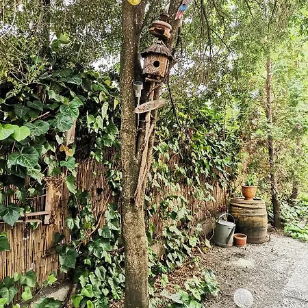 Apartment Flat In Historic With Your Own Private Garden, Near City Park Budapest