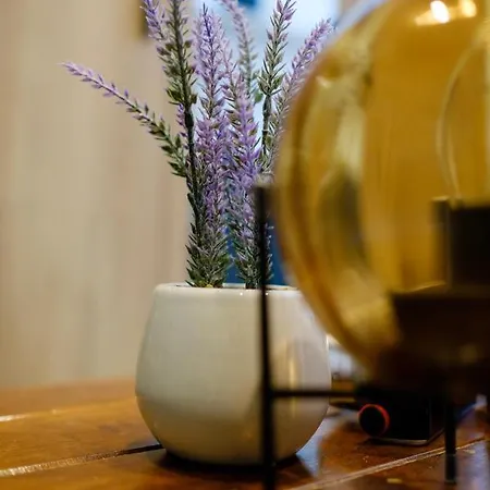 Cozy Homey Apartman Apartament *