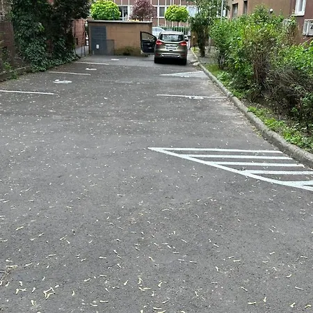H1 *