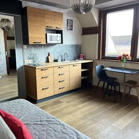 Elegant Rooftop Studio With Shared Terrace And Jacuzzi Apartment *