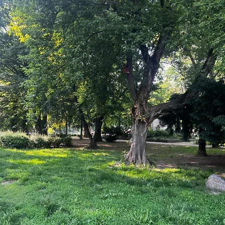 Vm56 * Budapest