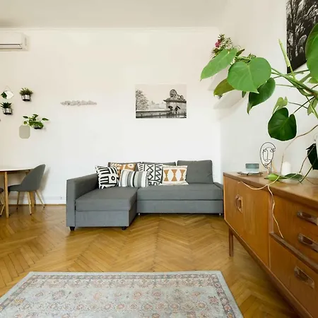 Dohany Design