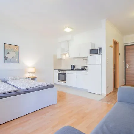 Apartament Corvin Modern Studio With Ac, Parking *