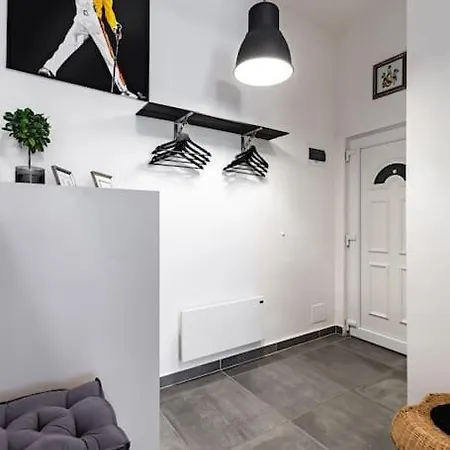 Apartment Industrial By Danube, Margaret Island *