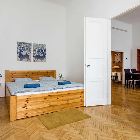 Spacious And Bright Family In The Inner City Apartment Budapest