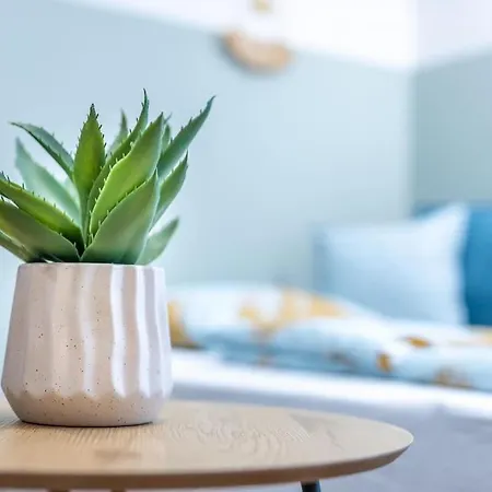 Apartment Jade In Downtown Dob27 *