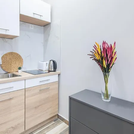 New - And Modern Appartamento Budapest