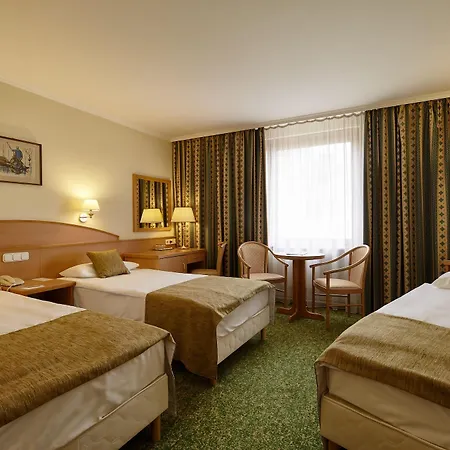 Hotel Danubius Erzsébet Center 3*