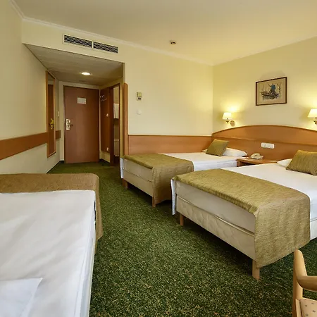Danubius Erzsébet Center 3*