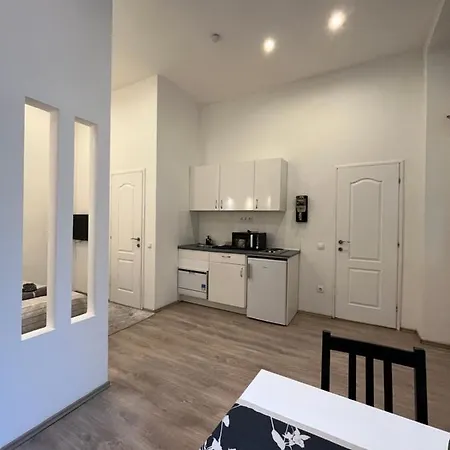 Apartment D58 In The Center *