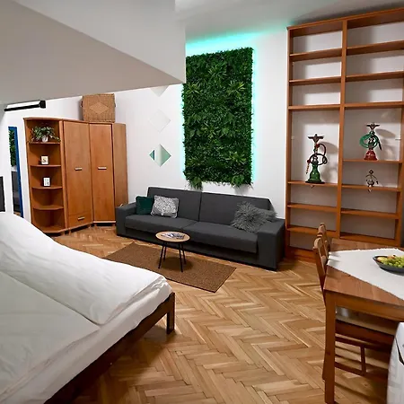 Raday 41 Apartment *