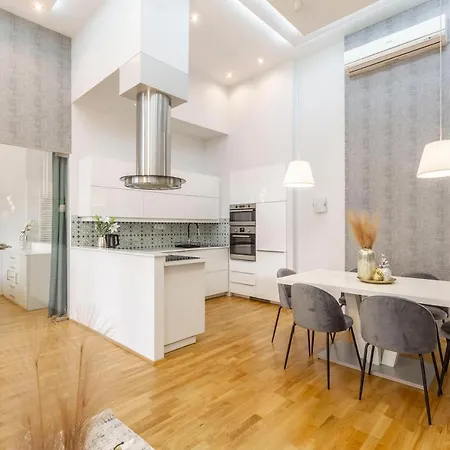 Luxurious & Spacious Downtown In Liszt Ferenc Square Apartment