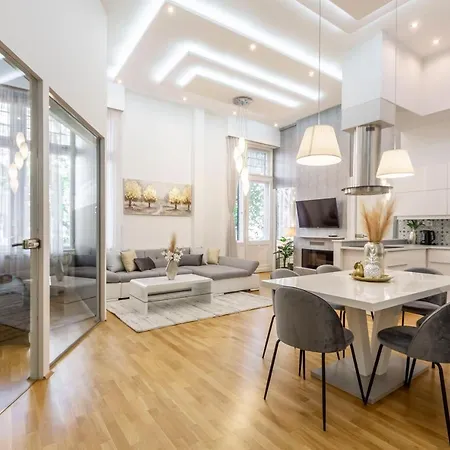 Luxurious & Spacious Downtown In Liszt Ferenc Square