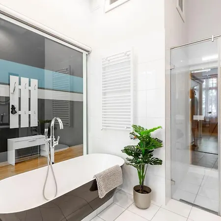 Luxurious & Spacious Downtown In Liszt Ferenc Square Apartment Budapest