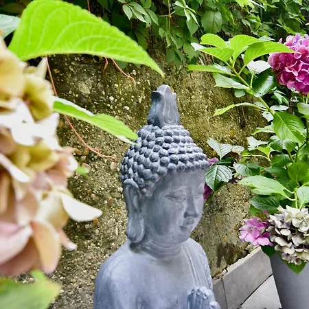 Buda Bliss Garden *