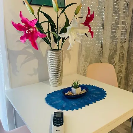 Apartment Onyx With Free Private Garage + Ac