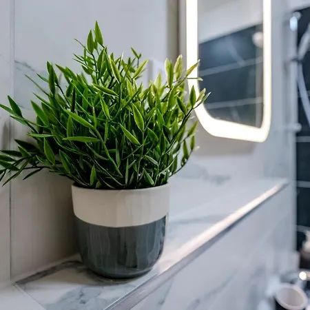 Magnolia Sunshine Apartment