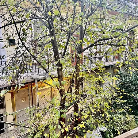 My Little Apartment