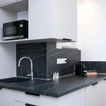 Luxury Cozy 2 Bdr Downtown Apt.6 Apartment
