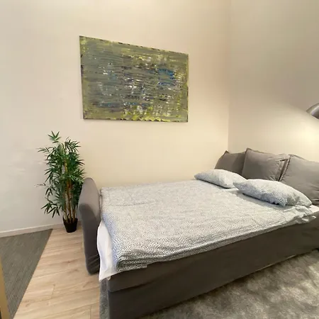 Wesseleny Near Synagogue With Ac After Renovation Apartment Budapest