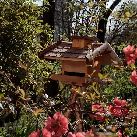 Apartment Birdnest