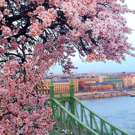 Apartmán Pannonia Center Deluxe Budapešť