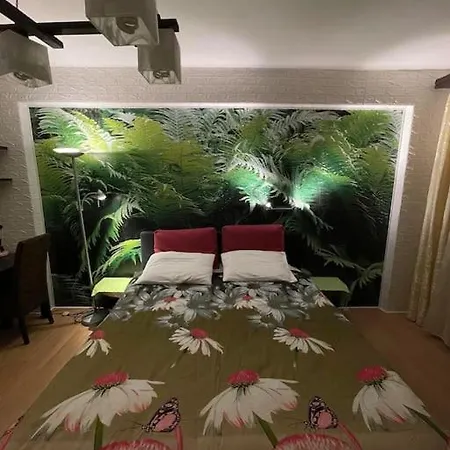 Vacigreen Budapest