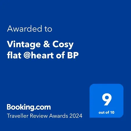 Apartment Vintage & Cosy Flat @heart Of Bp