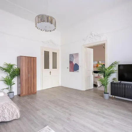 Spacious Vintage For 12ppl Apartment