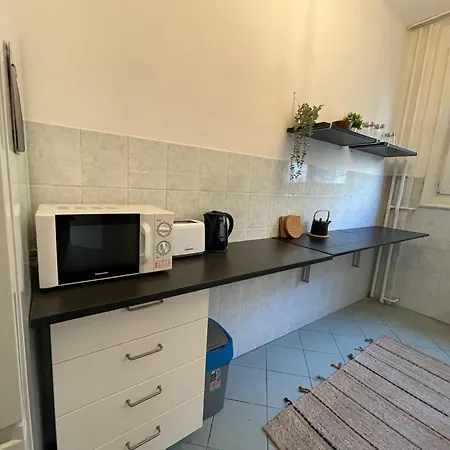 Bright & Spacious Riverside With Balcony Apartment *