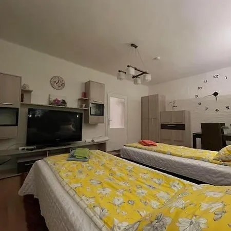 Apartment Vacigreen