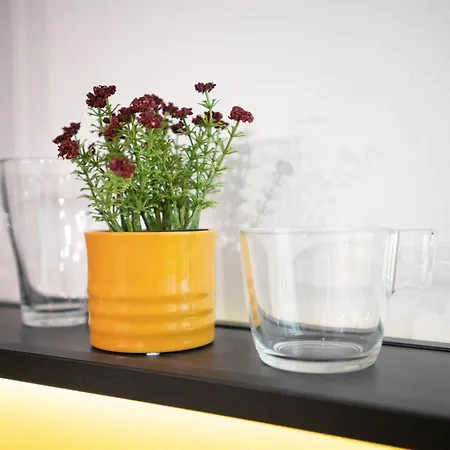 Apartament Corvin Palace For Two
