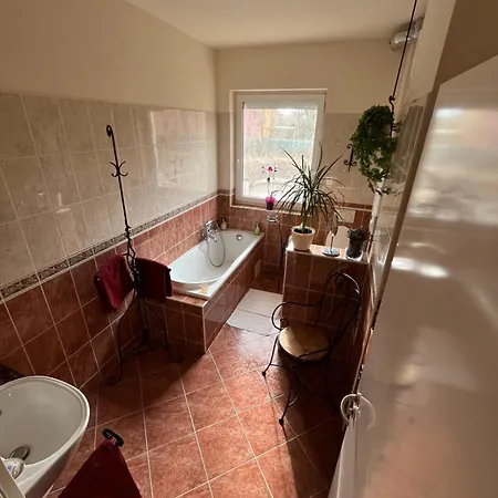 Apartment Kiraly Csaladi Apartman- Royal Family #freegarage Budapest