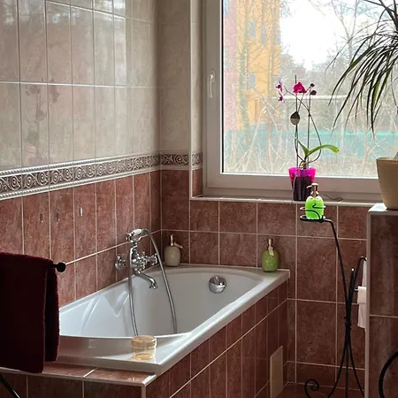 Kiraly Csaladi Apartman- Royal Family #freegarage