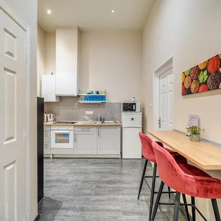 Downtown Delight - Erzsebet Blvd - 13 Ppl Apartament Budapesta