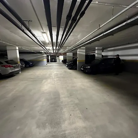 Peony Szekely Mihaly - Free Garage