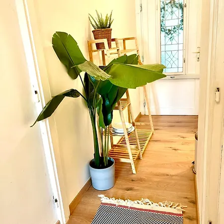 Apartment Boutique Studio Flat At City Center