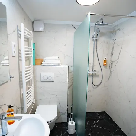 Downtown Double Deluxe With Joint Kitchen Apartment *
