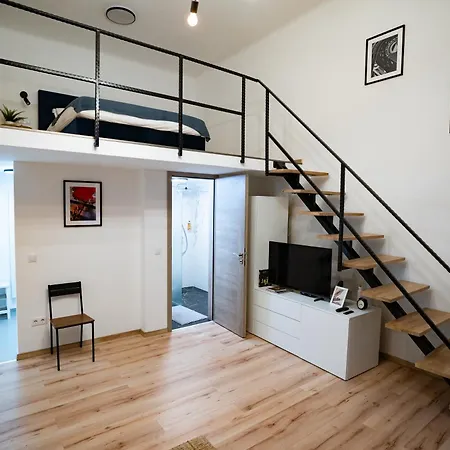 Downtown Double Deluxe With Joint Kitchen Apartment