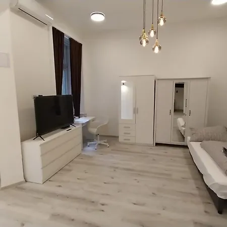 Apartment Szekely Near Deak Ferenc Square With Free Parking In Garage