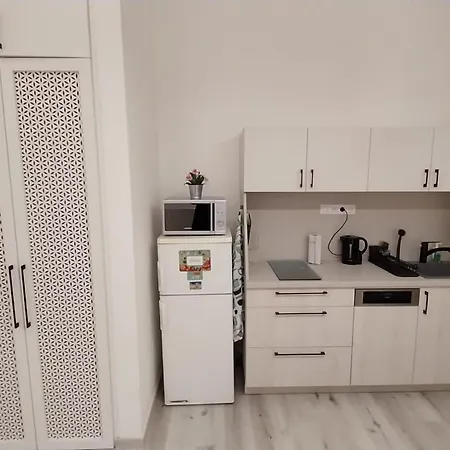 Apartment Szekely Near Deak Ferenc Square With Free Parking In Garage