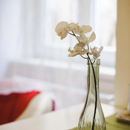 Prime Location Stylish Flats Apartment